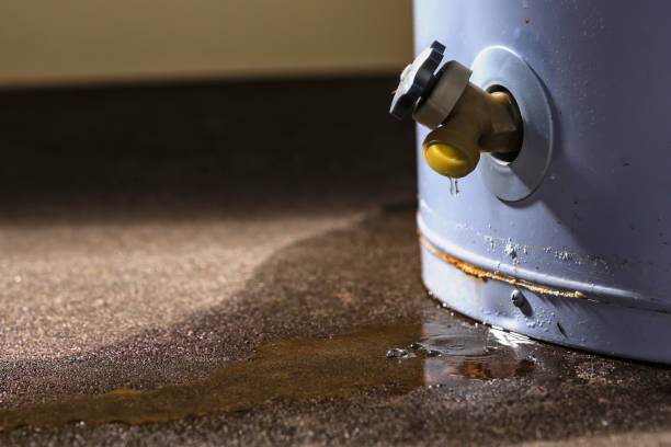 Best Local water damage restoration  in Grill, PA
