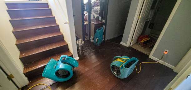 Best Water damage cleanup near me  in Grill, PA