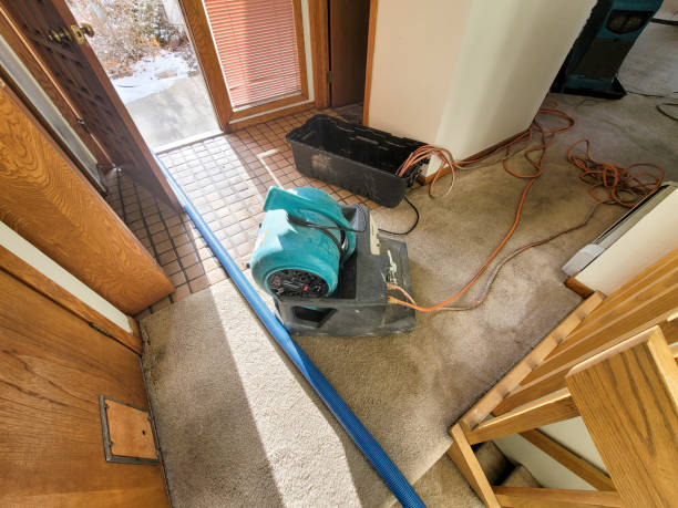 Best Fire Damage Restoration  in Grill, PA