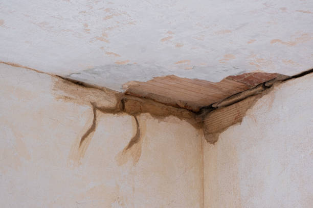 Best Carpet water damage restoration  in Grill, PA