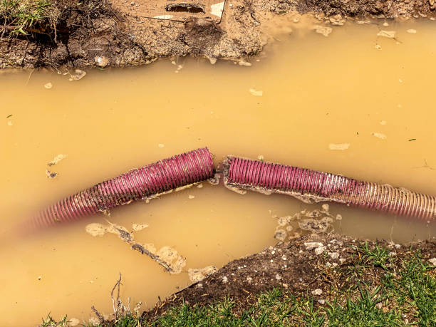 Best Professional water damage repair  in Grill, PA