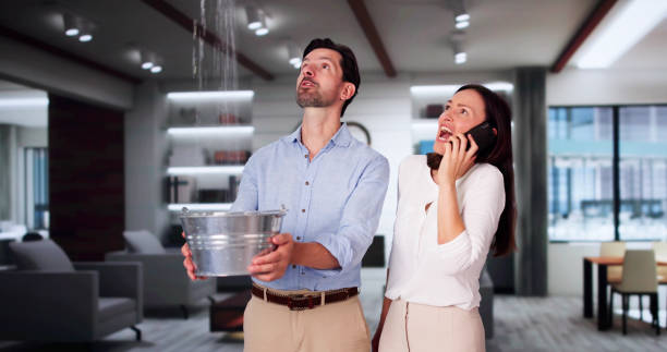 Best Flood damage cleanup  in Grill, PA