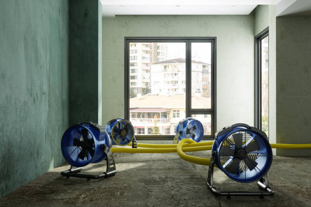 Best Sewage cleanup and water damage restoration  in Grill, PA