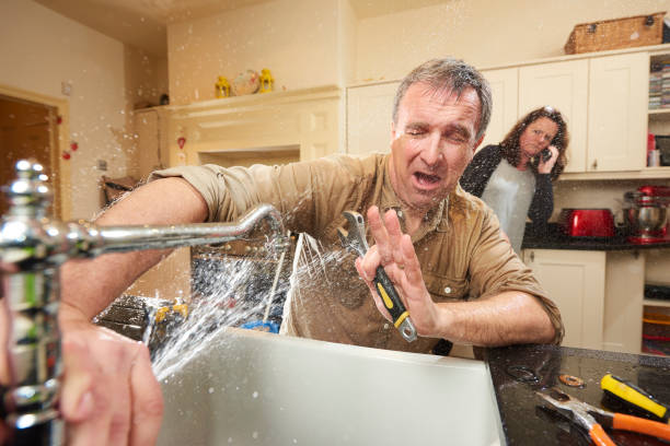 Best Mold removal after water damage  in Grill, PA